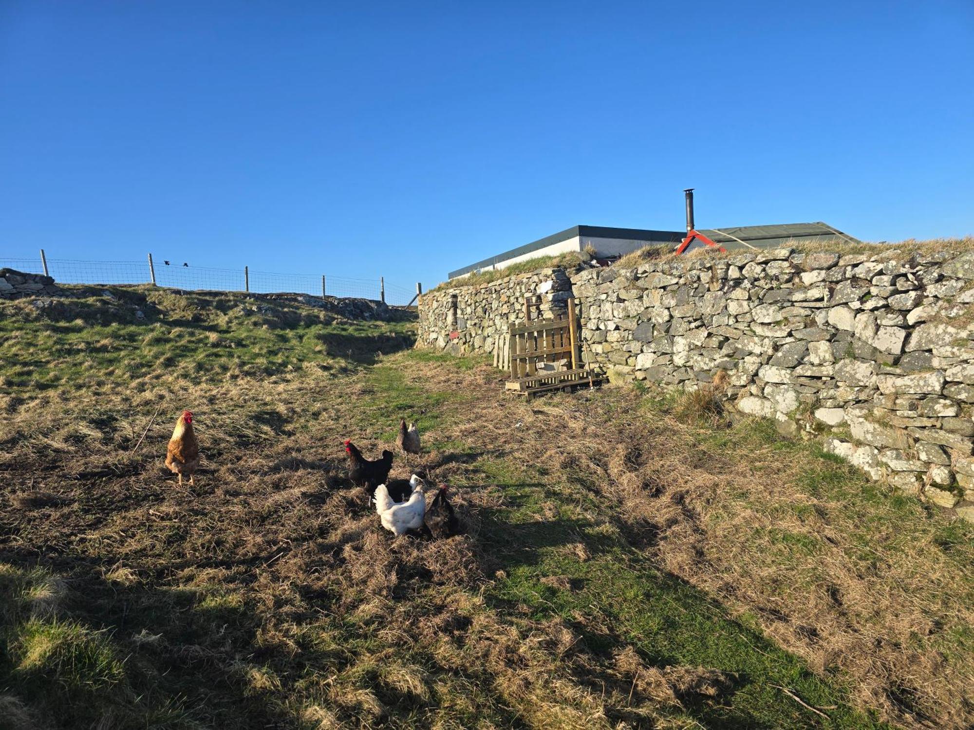 Squealing Pig Bothy Villa Barvas Екстериор снимка